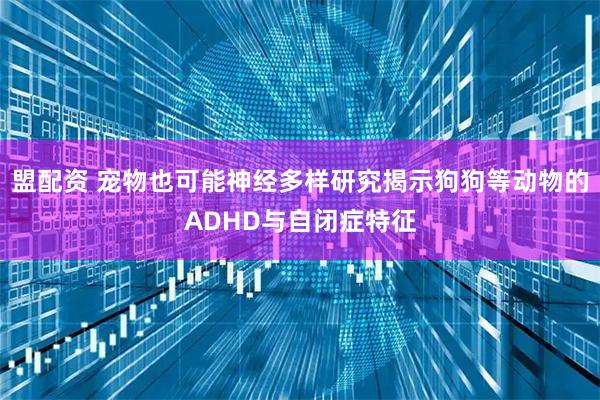 盟配资 宠物也可能神经多样研究揭示狗狗等动物的ADHD与自闭症特征